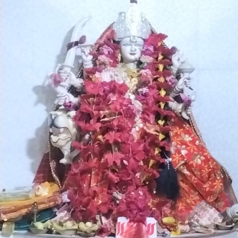 रामानुजगंज की पहाड़ी पर विराजमान मां वैष्णो देवी​​​​​​​:नवरात्र में लगता है भक्तों का तांता; दूसरे राज्यों से भी आते हैं श्रद्धालु