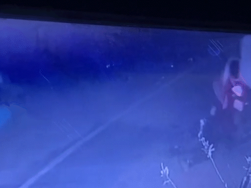 जेल से बाहर आते ही हत्या के आरोपी का मर्डर…LIVE-VIDEO:भिलाई में दोस्त ने किया हथियार से 15-16 वार;गौरा-गौरी पूजा में कटर लेकर पहुंचा था