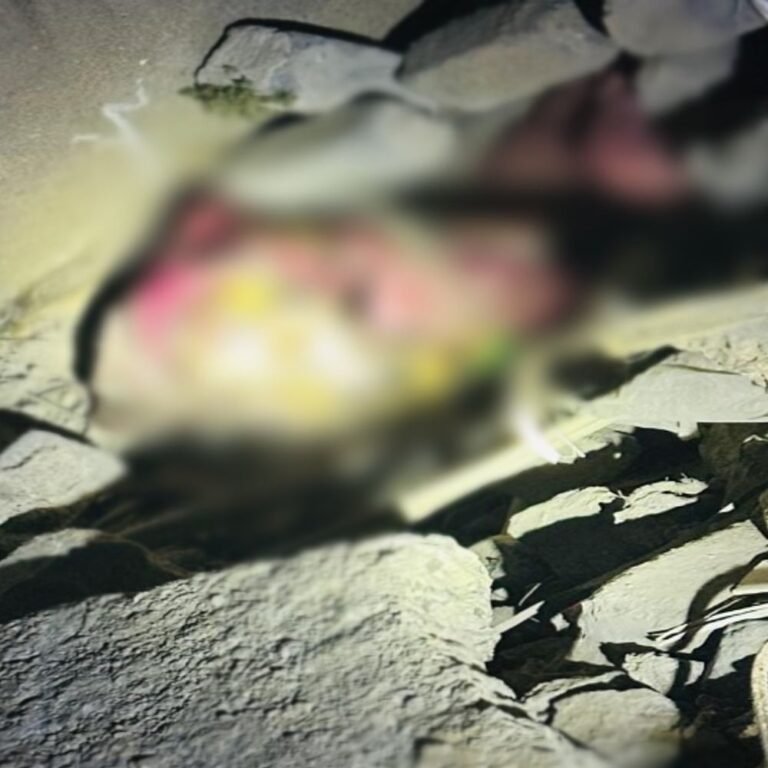 रायपुर के पॉश एरिया में मिली लड़की की सड़ी-गली लाश:कुत्ता खोपड़ी लेकर दौड़ा तो खुला राज; मार कर अंडर-कंस्ट्रक्शन बिल्डिंग में छिपाने की आशंका