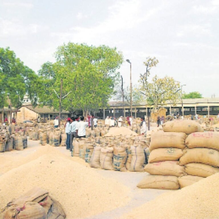 राईस मिलर्स की लंबित मांगों पर सहमति:खरीदी केंद्रों से अब जल्द होगा धान का उठाव, बारिश से बचाने इंतजाम के आदेश