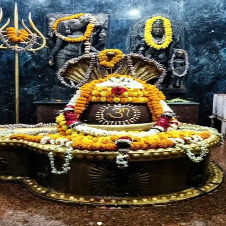 भगवान शिव की शादी की निभाई गई रस्में:रायपुर में हटकेश्वर महादेव का अद्भुत श्रृंगार; सुरेश्वर महादेव चौक पर लगेगा 21 फीट ऊंचा त्रिशूल