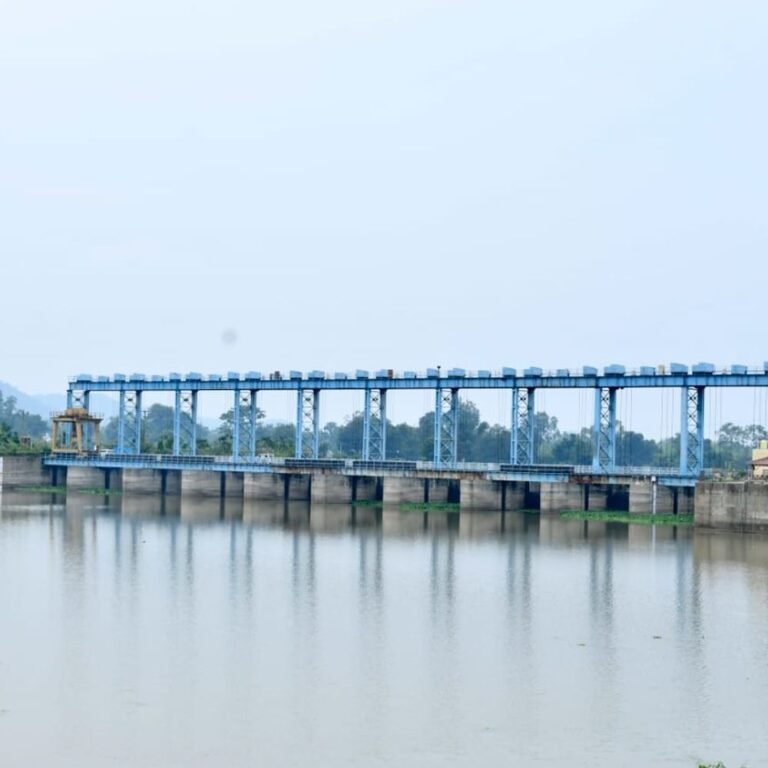 बिलासपुर के अरपा भैंसाझार बैराज में 60% पानी भरा:रात के बाद खुल सकते हैं गेट, तटवर्ती क्षेत्रों के लोगों को अलर्ट जारी