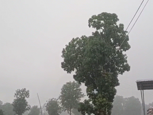 पूरे प्रदेश में मानसून एक्टिव…कुसमी में 200 मिमी बारिश:14 से अधिक जिलों में बरसा पानी, सूरजपुर-कोरिया समेत 8 जिलों में भारी बारिश का अलर्ट