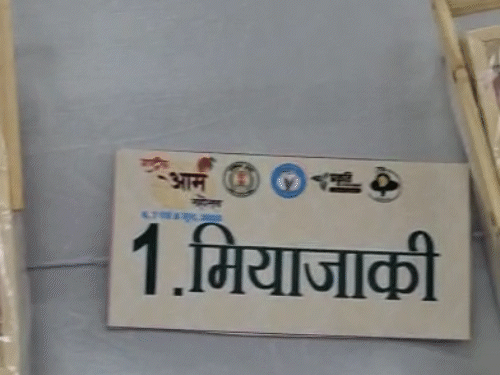 रायपुर में आम महोत्सव का आखिरी दिन…देखिए सबसे महंगी किस्म:बस्तर से अफगानिस्तान तक 200 से ज्यादा वैराइटी, 2 से 15 इंच तक के आम