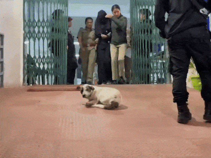 राजा मर्डर- आज आरोपियों का आमना-सामना करा सकती है पुलिस:SP बोले- हमारे पास पर्याप्त सबूत; खून लगी शर्ट देखकर रोई थी सोनम