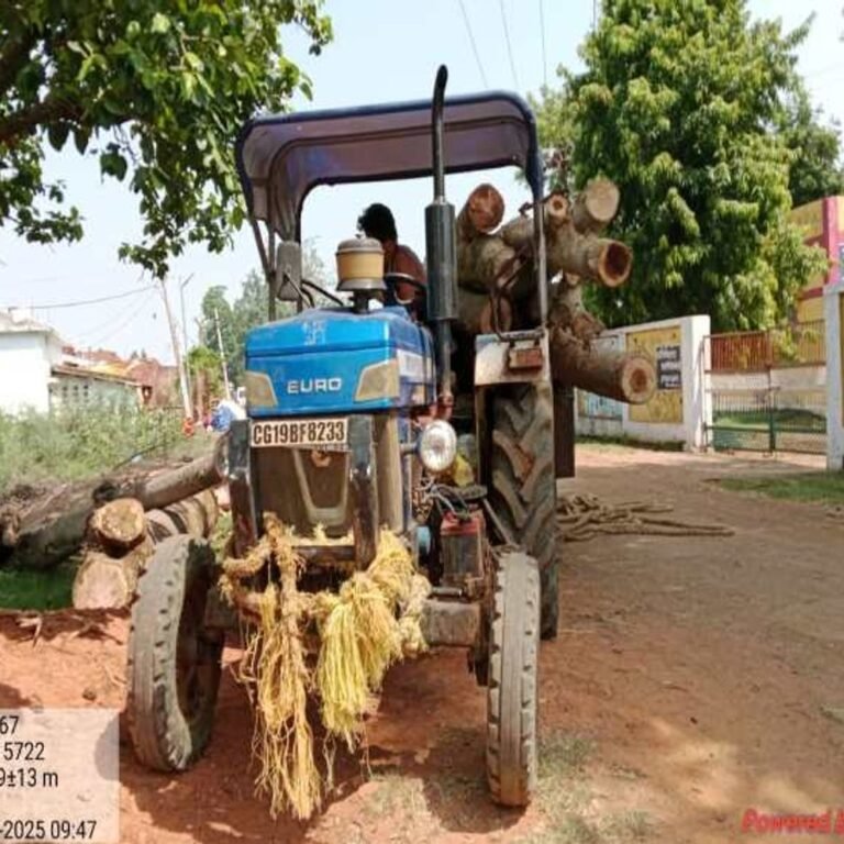 अवैध लकड़ी परिवहन करते दो ट्रैक्टर जब्त:बालोद-सुंदरा मार्ग पर उड़नदस्ता ने पकड़ी लकड़ी से लदी गाड़ियां