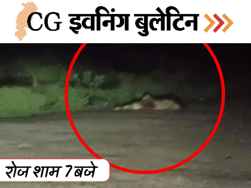छत्तीसगढ़ इवनिंग बुलेटिन:टीचर्स का अश्लील वीडियो, बछड़ा खा गया तेंदुआ, 3 डॉक्टर्स ने लिए 55 लाख, नाबालिग से अननेचुरल-सेक्स, VIDEO में 10 बड़ी खबरें