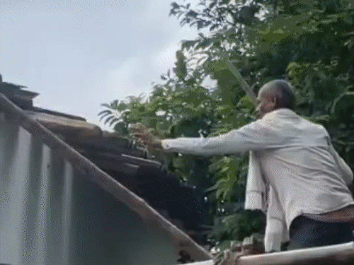 कब्र से निकाली गई लाश…चर्च में तोड़फोड़ VIDEO:भाई बोला- हत्या कर दफनाया, 3 साल पहले ईसाई धर्म अपनाया था, अब मौत पर बवाल