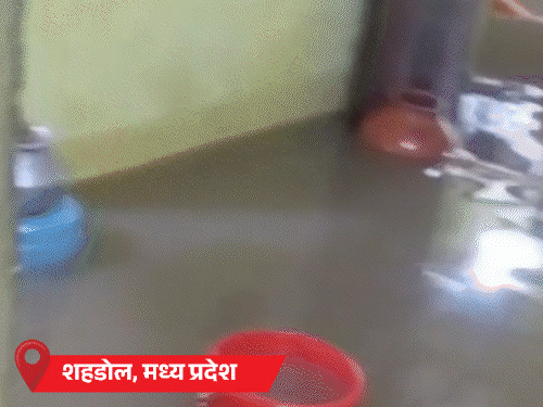 हिमाचल में 17 दिन में 19 बार बादल फटा:गुजरात के नवसारी में पूर्णा नदी उफान पर; MP के शहडोल में 3 हजार घरों में पानी भरा