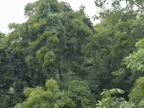 10 जिलों में बारिश का अलर्ट…9 में बाढ़ का खतरा:रायपुर-दुर्ग, धमतरी समेत 33 जिले भीगेंगे; कवर्धा में बिजली गिरने से नाबालिग की मौत