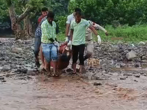 कवर्धा में पुल से 5 लोग बहे, 1 की मौत:3 को बचाया गया, 1 की तलाश जारी, रायपुर-बिलासपुर समेत सभी जिलों में यलो अलर्ट