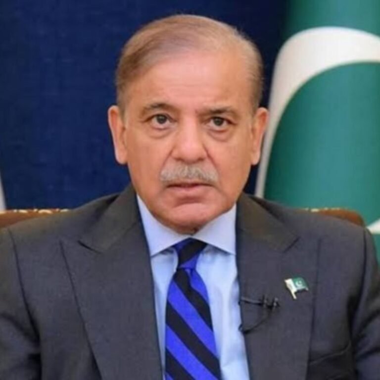 भारत के साथ बातचीत को तैयार PAK पीएम:शरीफ ने ब्रिटिश हाईकमिश्नर से यह बात कही; भारत कह चुका- सिर्फ PoK पर बात करेंगे