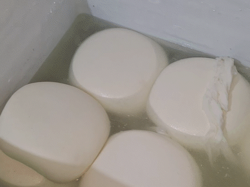 मिल्क पाउडर-ऑयल मिलाकर बन रहा नकली पनीर VIDEO:नाले के ऊपर फैक्ट्री, गंदगी का अंबार; रायपुर-ओडिशा में सप्लाई; एक्सपर्ट बोले- हार्ट-लीवर डैमेज होने का खतरा