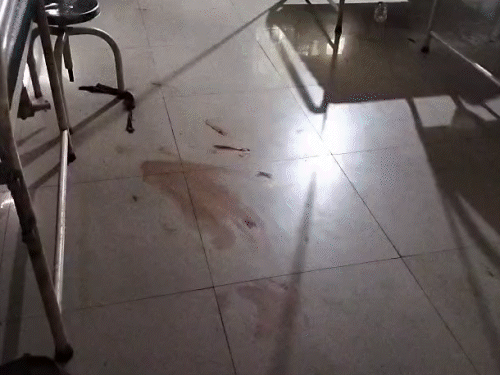 महिला की फर्श पर डिलीवरी…ड्यूटी से गायब थे डॉक्टर-नर्स:सूरजपुर में 4 घंटे तड़पती रही गर्भवती, प्री-मैच्योर बच्चा जन्मा; खून भी परिजनों से साफ करवाया