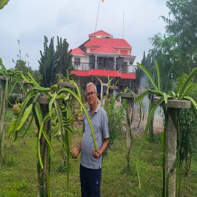 नवाचार कर बागान को बनाया पढ़ाई की पाठशाला:किसान ने खेती को बनाया बदलाव का जरिया, युवाओं को रोजगार देशकर नशे से बचा रहे