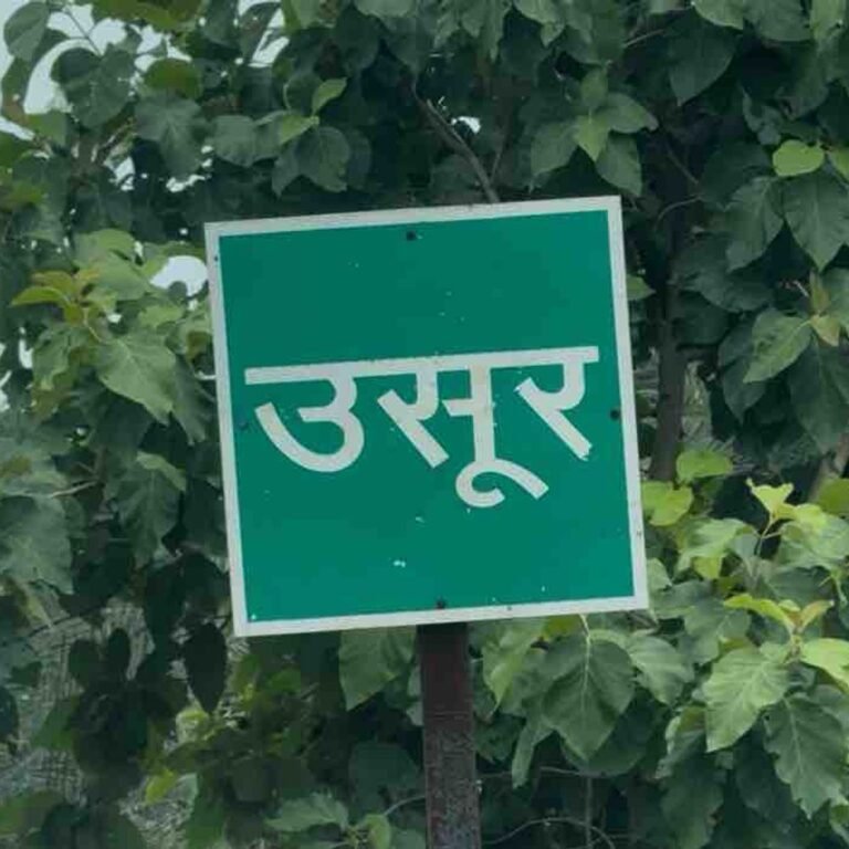 बीजापुर में नक्सलियों ने 2 ग्रामीणों को मार डाला:घर से बाहर बुलाया और धारदार हथियार से मर्डर; गृहमंत्री के दौरे के बाद वारदात