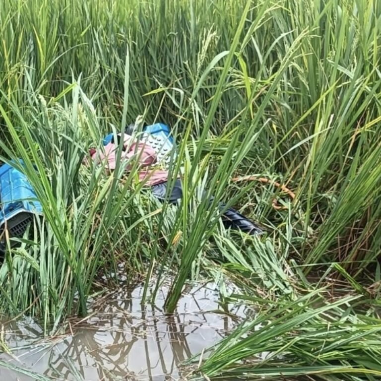 कवर्धा में बिजली की करंट से दो भाइयों की मौत:धान की फसल में दवा छिड़कने निकले थे दोनों, सहसपुर लोहारा के आमगांव की घटना