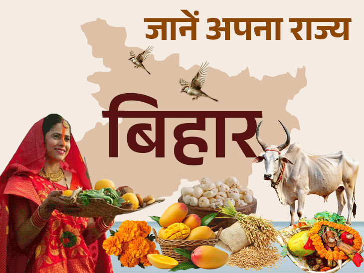 देश में मखाना, लीची उत्‍पादन में बिहार अव्‍वल:1 टाइगर रिजर्व, 11 वाइल्‍ड लाइफ सेंचुरी; जानें जनसंख्‍या, नदियां, भाषा समेत राज्‍य का पूरा प्रोफाइल