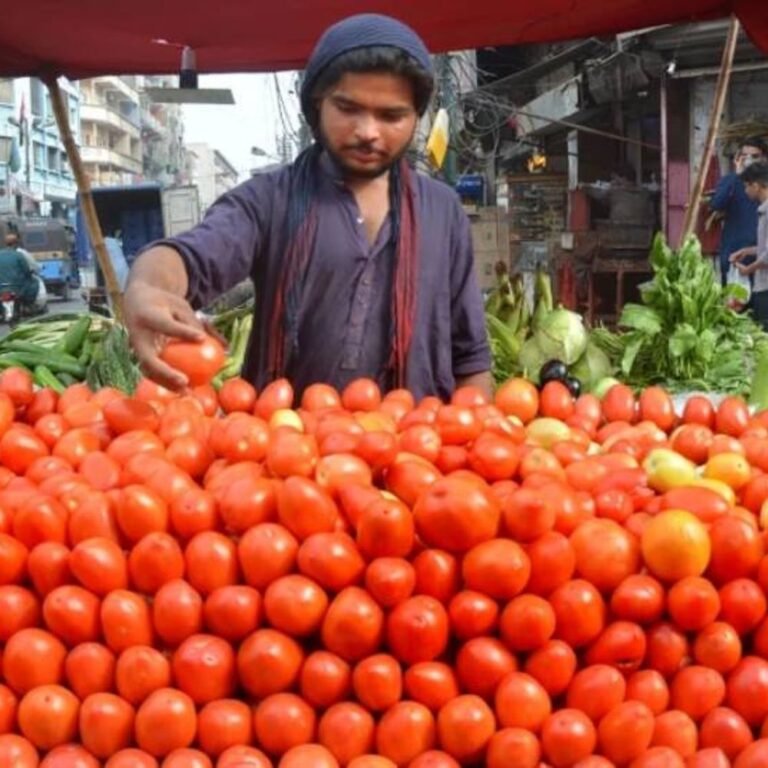 पाकिस्तान में टमाटर 600 रुपए किलो, दाम 400% तक बढ़े:अफगानिस्तान से विवाद के चलते क्रॉसिंग बंद, 5000 कंटेनर फंसे; सप्लाई आधी हुई