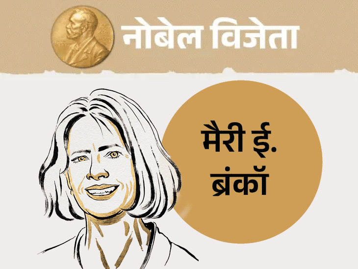 इम्‍यून सिस्‍टम क्‍यों नहीं करता शरीर के अंगों पर हमला:क्‍या है ‘पेरिफेरल इम्यून टॉलरेंस’ जिसकी खोज के लिए मिला मेडिसिन का नोबेल