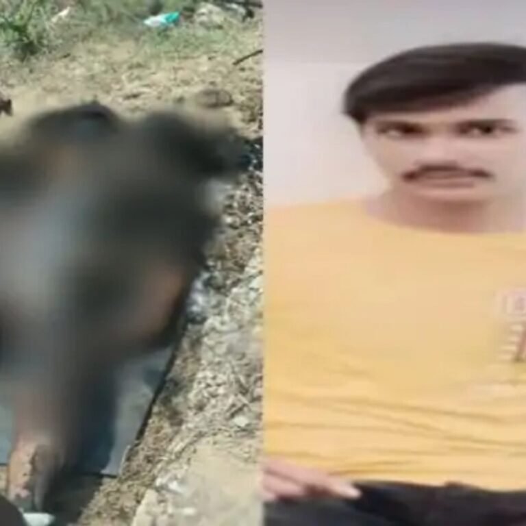 मां से 300 रुपए ईदी लेकर निकला,घर नहीं लौटा बेटा:पैसों के विवाद में हत्या, 175-KM दूर जंगल में जलाई लाश, अधजले जूते से पकड़ाए