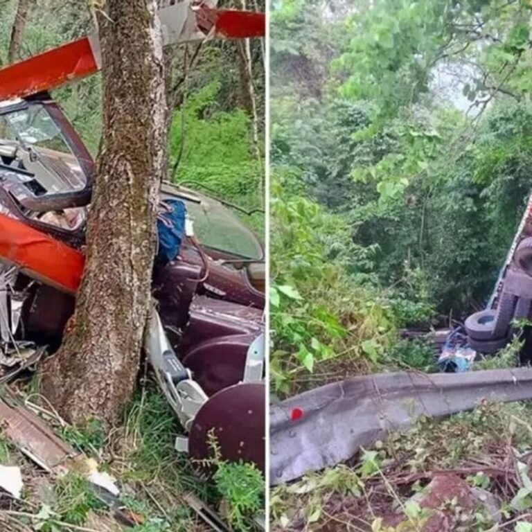 अरुणाचल में ट्रक 1000 फीट गहरी खाई में गिरा:22 की मौत, सभी असम से मजदूरी करने आए थे, 13 शव बरामद