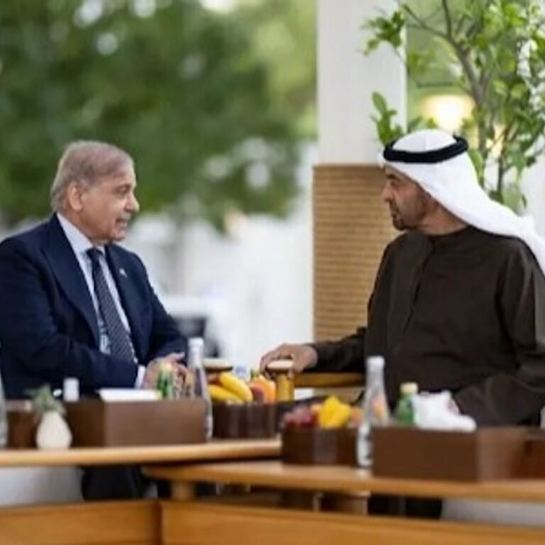 UAE प्रेसिडेंट पाकिस्तान पहुंचे:PM शहबाज से द्विपक्षीय बातचीत करेंगे, ट्रेड-एनर्जी पर डील संभव; क्या सऊदी जैसा रक्षा समझौता चाहता PAK