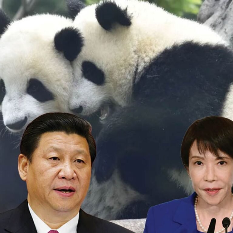 चीन ने जापान से वापस मांगे अपने जुड़वा पांडा:आज आखिरी बार देखने पहुंचे हजारों लोग; 50 साल बाद बिना पांडा के रह जाएगा जापान