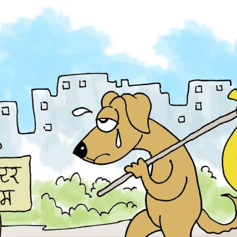 आवारा कुत्तों पर सुप्रीम कोर्ट में आज सुनवाई:याचिकाओं की संख्या देखकर कहा था- इंसानों के मामलों में भी इतनी अर्जियां नहीं आतीं