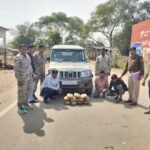 महासमुंद में 11 किलो गांजा जब्त, कीमत 5.5 लाख:प्लास्टिक की बोरियों में छिपा रखे थे, बोलेरो से महाराष्ट्र ले जा रहे 4 तस्कर गिरफ्तार