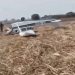 कर्नाटक में खेत में प्राइवेट मिनी प्लेन क्रैश:गिरने से पहले दोनों पायलट ने इजेक्ट किया; शुरुआती जांच में इंजन में खराबी हादसे की वजह