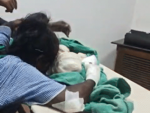 रायगढ़ कार्बन प्लांट हादसा…मासूम बच्ची समेत 3 मौतें:पिता और युवक ने तोड़ा दम, 3 महीने पहले ही एक बेटी खोई थी, ससुर वेंटिलेटर पर