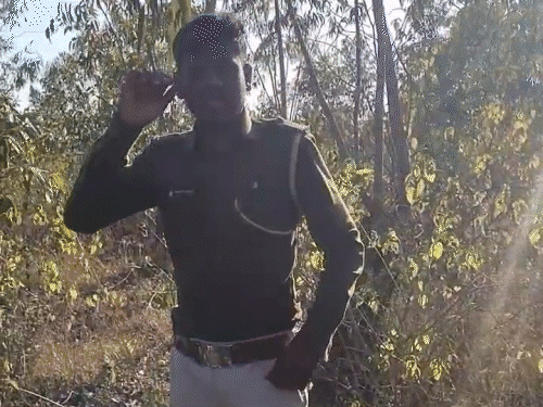 वर्दी पहने फॉरेस्ट गार्ड को बेल्ट से पीटा, ठुमके लगवाए,VIDEO:नर्सरी में गर्लफ्रेंड संग पकड़ाने पर युवकों ने मारपीट की; DFO ने जवाब मांगा