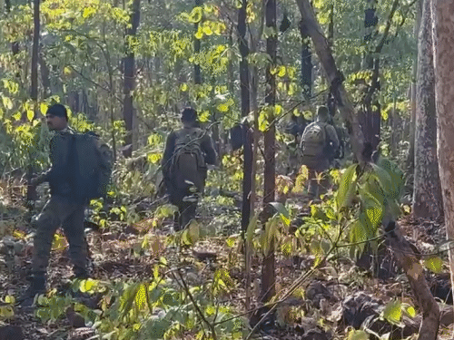 बीजापुर में सुरक्षाबलों और नक्सलियों में मुठभेड़:2 वर्दीधारी नक्सली ढेर, SLR और INSAS जैसे हथियार बरामद, सर्च अभियान जारी