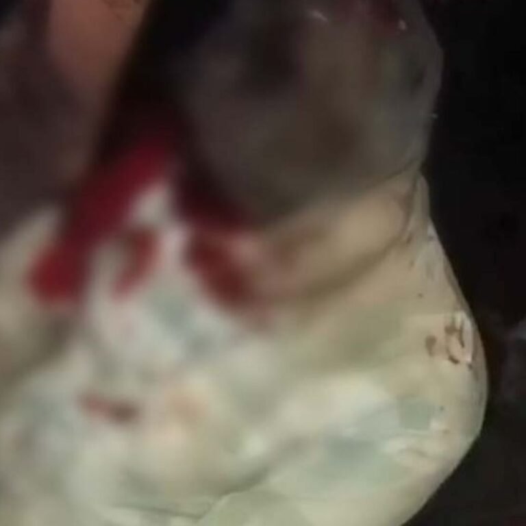 रायगढ़ में खाई में गिरी पिकअप…2 की मौत:सगाई से लौट रहे थे, 25-30 लोग सवार थे, हादसे में 20 घायल;सभी एक ही समाज से