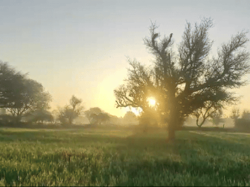 पिछले सात दिनों से रायपुर सबसे गर्म:33° तक पहुंचा अधिकतम तापमान; अगले 24 घंटे में 2-3 डिग्री तक बढ़ेगा रात का पारा