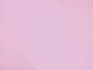 सैमसंग गैलेक्सी S26 सीरीज लॉन्च, कीमत ₹87,999 से शुरू:प्राइवेसी ऑन करते ही साइड वाले को नहीं दिखेगी स्क्रीन, बड्स 4 सीरीज भी पेश की