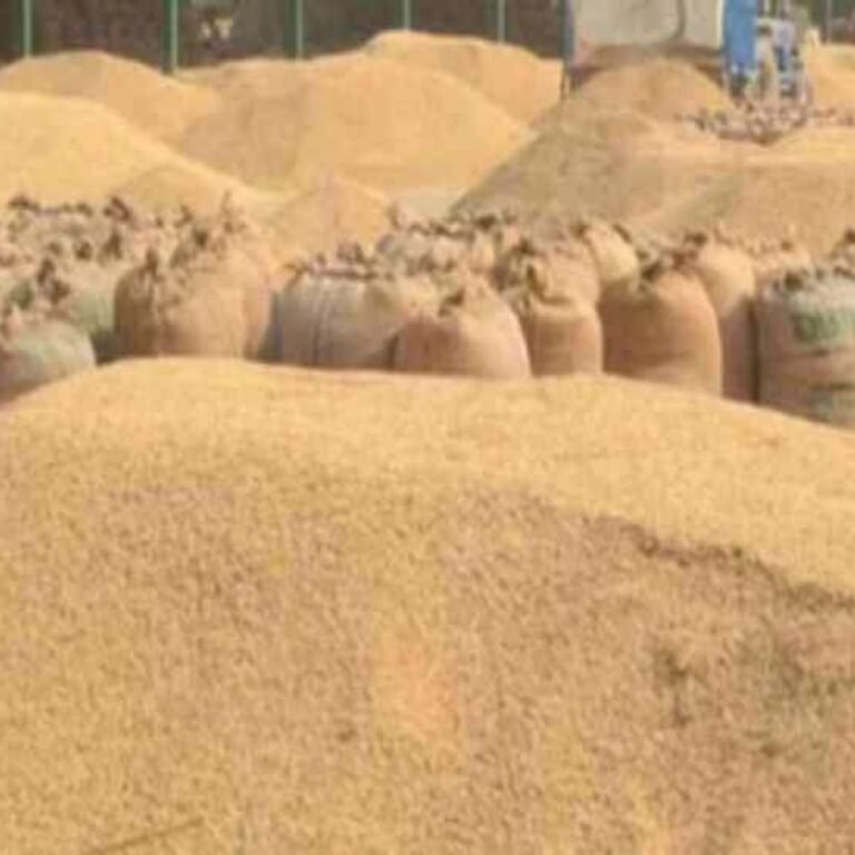 छत्तीसगढ़ में धान खरीदी की तारीख 2 दिन बढ़ी:किसान 5-6 फरवरी को बेच सकेंगे धान, भूपेश बघेल ने सीएम साय का जताया आभार