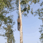 वैलेंटाइन-डे वीक में लिव-इन कपल ने किया सुसाइड:गर्लफ्रेंड ने घर में लगाई फांसी, पेड़ पर फंदे से लटका बॉयफ्रेंड,शादी में देरी से परेशान थे