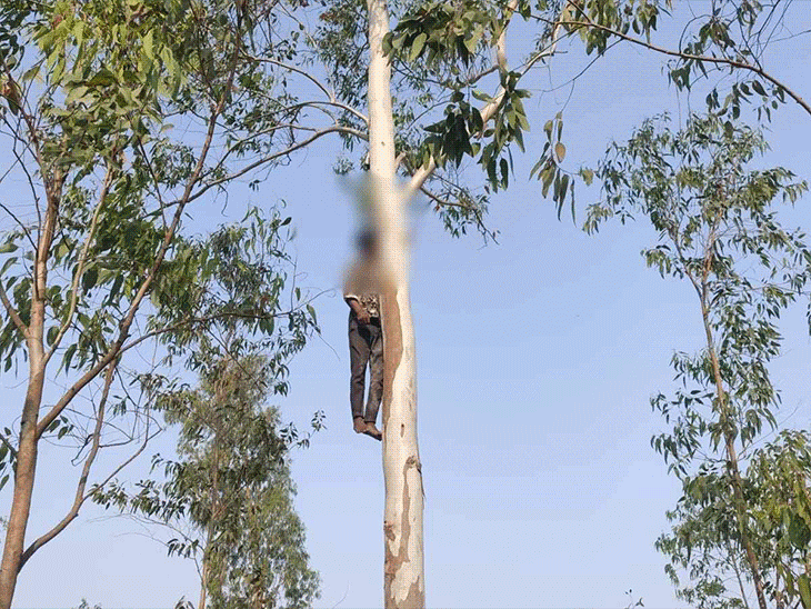 वैलेंटाइन-डे वीक में लिव-इन कपल ने किया सुसाइड:गर्लफ्रेंड ने घर में लगाई फांसी, पेड़ पर फंदे से लटका बॉयफ्रेंड,शादी में देरी से परेशान थे