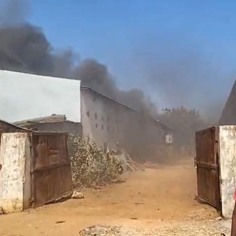 बिलासपुर केमिकल-पेंट फैक्ट्री में लगी भीषण आग, VIDEO:केमिकल के कारण तेजी से फैली, दमकल की मदद से किया जा रहा काबू