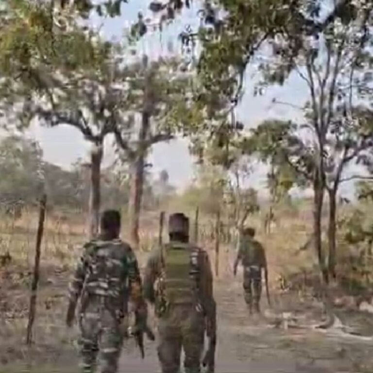 छत्तीसगढ़-महाराष्ट्र बॉर्डर पर 3 नक्सली ढेर, 1 जवान शहीद:गढ़चिरौली में एनकाउंटर, 1 घायल जवान को एयरलिफ्ट कर अस्पताल लाया गया; सर्चिंग जारी