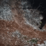 2 दिन आंधी-बारिश का अलर्ट, मैनपाट में ओले गिरे:सड़क पर बर्फ की चादर बिछी, रायपुर में बादल छाए, 4-5° लुढ़का तापमान