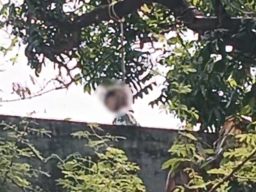 बिलासपुर में 9th के स्टूडेंट ने किया सुसाइड:पढ़ाई छोड़कर नशा करने लगा था; सक्ती में 10 साल की बच्ची बाथरूम में लटकी मिली