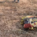 पत्नी ने मां को खाना नहीं परोसा,पति ने गला घोंटा:बालोद में पुलिस से बोला- गिरकर मर गई; मानसिक रूप से बीमार थी