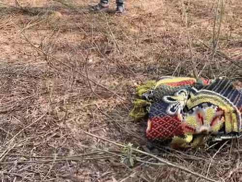 पत्नी ने मां को खाना नहीं परोसा,पति ने गला घोंटा:बालोद में पुलिस से बोला- गिरकर मर गई; मानसिक रूप से बीमार थी