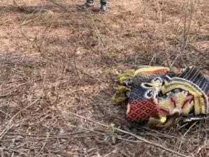 मां को खाना नहीं परोसने पर पत्नी को मार डाला:बालोद में गला घोंटकर हत्या की, पुलिस से बोला-गिरकर मर गई;मानसिक रूप से बीमार थी