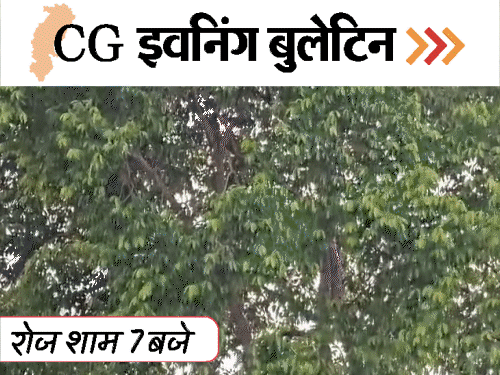 छत्तीसगढ़ इवनिंग बुलेटिन:दोस्त को मार डाला, वीडियो कॉल पर बात करेंगे कैदी; अंबिकापुर-दिल्ली फ्लाइट शुरू, नक्सलियों का सरेंडर, VIDEO में 10 बड़ी खबरें