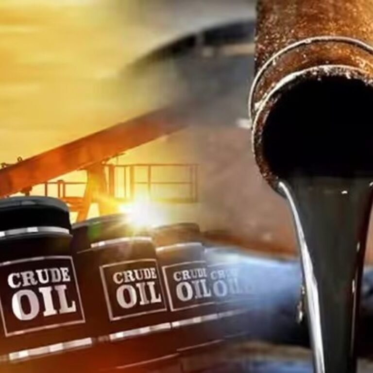 तेल की कीमतें 10 डॉलर बढ़ने से 0.60% बढ़ेगी महंगाई:रेटिंग एजेंसी का दावा- GDP ग्रोथ और रुपए पर भी असर; कच्चा तेल 116 डॉलर पार