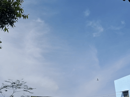 छत्तीसगढ़ में उत्तर-मध्य क्षेत्र में बारिश की आशंका:आंधी का भी अलर्ट, कोंडागांव में बिजली गिरने से 3 मवेशियों की मौत